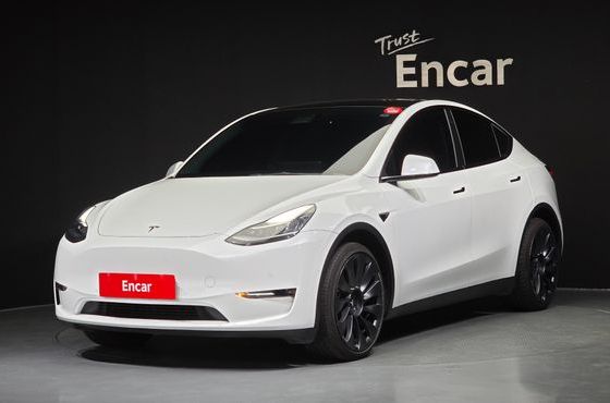 Tesla Model Y Long Range AWD — пробег 61 089 км — фото 1 из 5