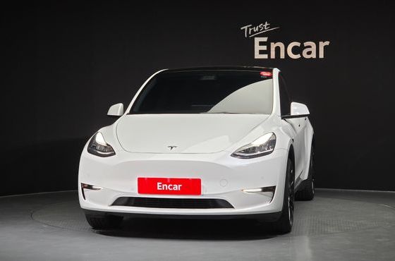 Tesla Model Y Long Range AWD — пробег 61 089 км — фото 3 из 5