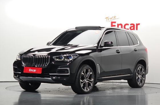 BMW X5 xDrive 30d xLine — пробег 96 879 км — фото 1 из 5