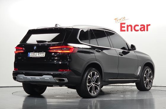 BMW X5 xDrive 30d xLine — пробег 96 879 км — фото 2 из 5
