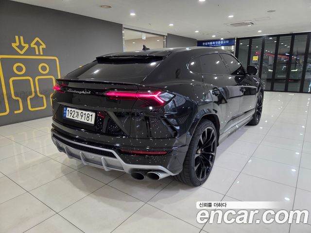 Lamborghini Urus из Кореи Encar