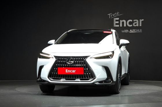 Lexus NX Luxury — пробег 9 км — фото 3 из 5