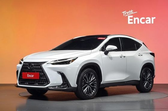 Lexus NX Luxury — пробег 9 км — фото 1 из 5