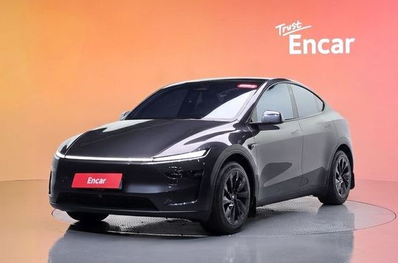 Tesla Model Y RWD — пробег 42 853 км — фото 1 из 5