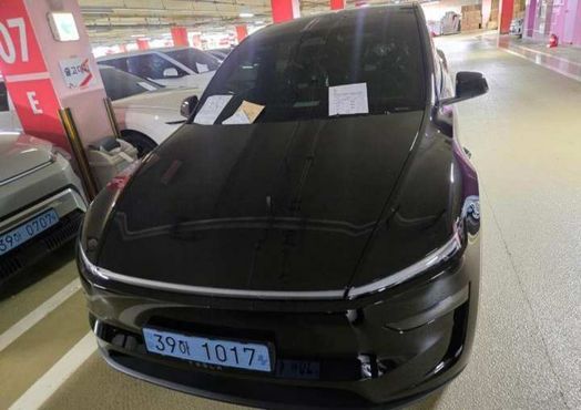 Tesla Model Y L Long Range AWD — пробег 1 км — фото 1 из 5
