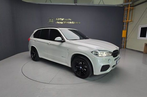 BMW X5 xDrive 30d M Sport package — пробег 124 803 км — фото 3 из 5