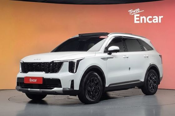 Kia Sorento HEV 1.6 2WD Signature — пробег 45 678 км — фото 1 из 5