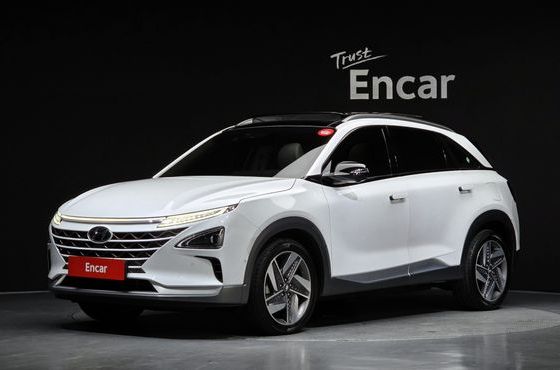 Hyundai Nexo Premium — пробег 71 970 км — фото 1 из 5