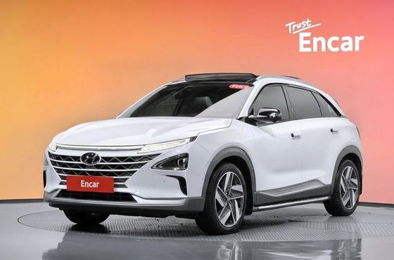 Hyundai Nexo Premium — пробег 57 422 км — фото 1 из 5