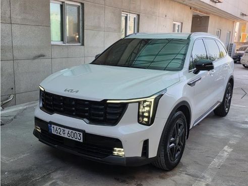 Kia Sorento HEV 1.6 2WD Gravity — пробег 17 629 км — фото 2 из 5
