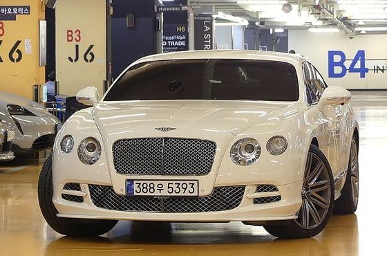 Bentley Continental 6.0 GT Speed — пробег 28 000 км — фото 1 из 5