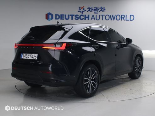 Lexus NX Luxury — пробег 48 271 км — фото 2 из 5