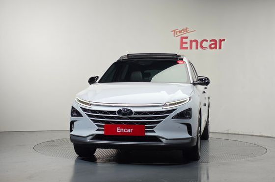 Hyundai Nexo Premium — пробег 129 942 км — фото 3 из 5