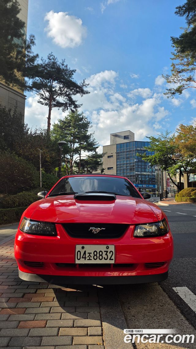 Ford Mustang Convertible — пробег 78 000 км — фото 3 из 5