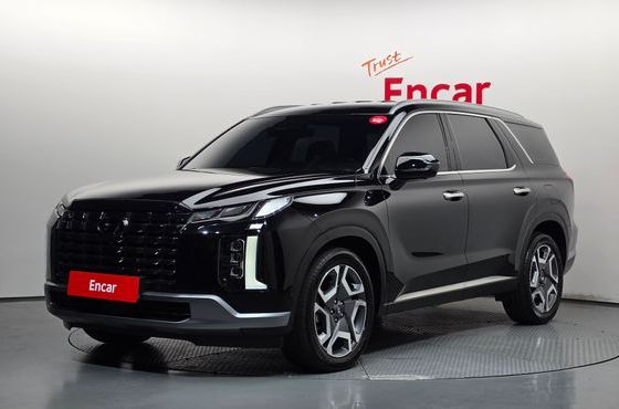 Hyundai Palisade Gasoline 3.8 2WD Le Blanc — пробег 44 723 км — фото 1 из 5