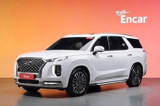 Hyundai Palisade Gasoline 3.8 4WD Calligraphy — пробег 56 406 км — фото 1 из 5