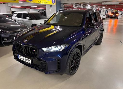 BMW X5 M60i First Edition — пробег 79 700 км — фото 3 из 5