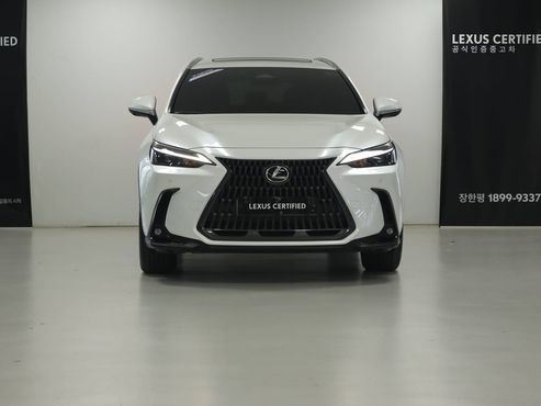 Lexus NX Premium — пробег 11 841 км — фото 3 из 5