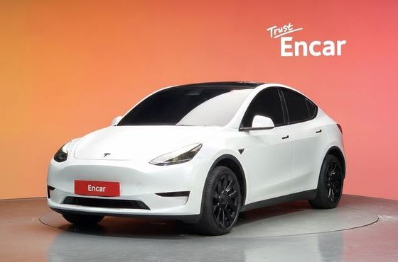 Tesla Model Y RWD — пробег 91 843 км — фото 1 из 5