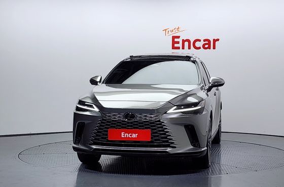 Lexus RX Luxury — пробег 29 938 км — фото 3 из 5