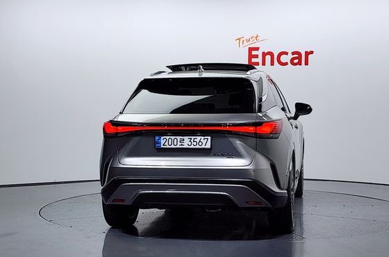 Lexus RX Luxury — пробег 29 938 км — фото 4 из 5