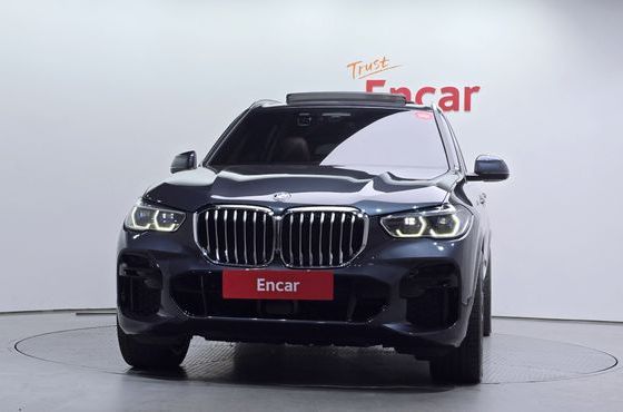 BMW X5 xDrive 30d M Sport — пробег 100 891 км — фото 3 из 5