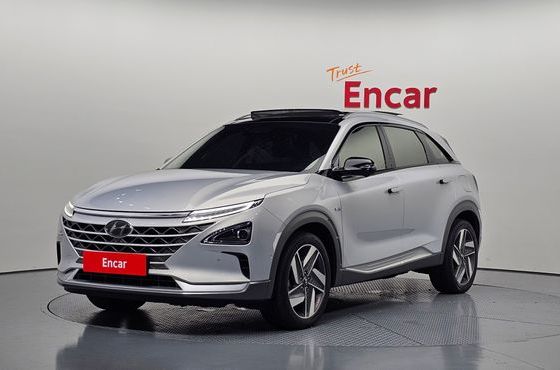 Hyundai Nexo Premium — пробег 75 861 км — фото 1 из 5