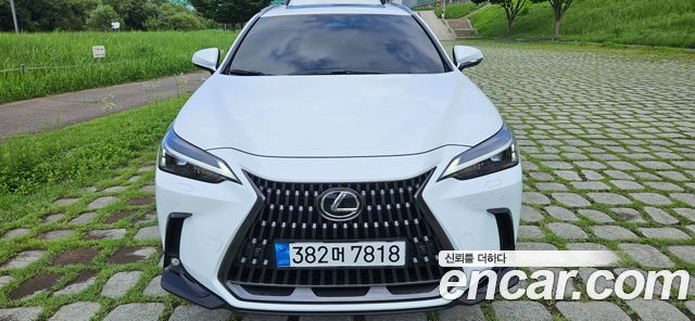 Lexus NX Premium — пробег 1 306 км — фото 1 из 5