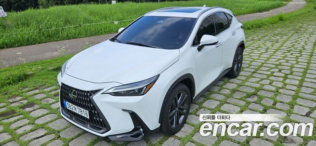 Lexus NX Premium — пробег 1 306 км — фото 2 из 5
