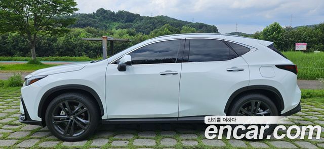 Lexus NX Premium — пробег 1 306 км — фото 3 из 5