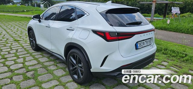 Lexus NX Premium — пробег 1 306 км — фото 4 из 5