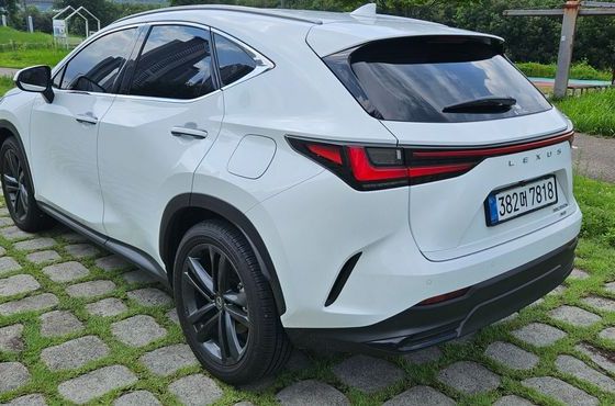 Lexus NX Premium — пробег 1 306 км — фото 4 из 5