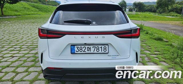 Lexus NX Premium — пробег 1 306 км — фото 5 из 5
