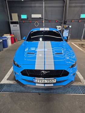 Ford Mustang GT Coupe — пробег 29 000 км — фото 3 из 5