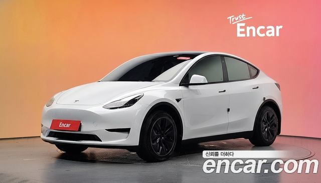 Tesla Model Y RWD — пробег 40 463 км — фото 1 из 5
