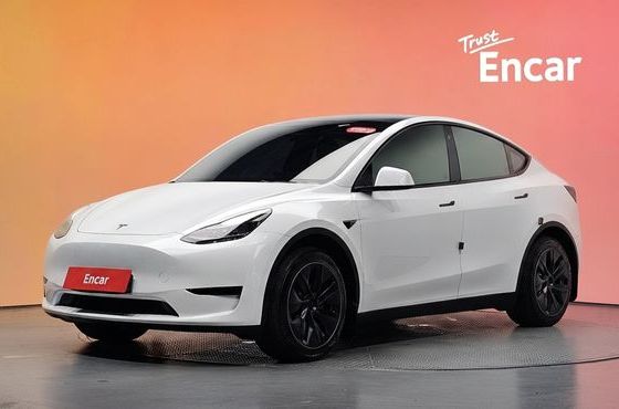 Tesla Model Y RWD — пробег 40 463 км — фото 1 из 5