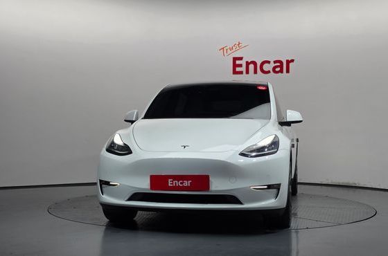 Tesla Model Y Long Range AWD — пробег 118 531 км — фото 3 из 5