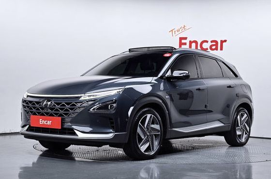 Hyundai Nexo Premium — пробег 57 719 км — фото 1 из 5