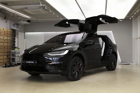 Tesla Model X Plaid — пробег 1 900 км — фото 5 из 5