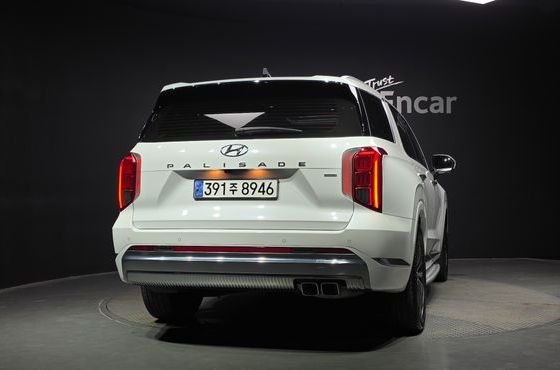 Hyundai Palisade Diesel 2.2 4WD VIP — пробег 45 418 км — фото 4 из 5