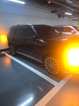 Hyundai Palisade HEV 2.5T 4WD 9-Seater Calligraphy — пробег 18 500 км — фото 1 из 5