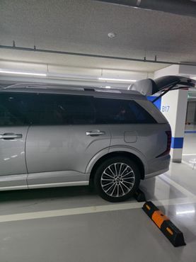 Hyundai Palisade Gasoline 2.5T 2WD 9-Seater Calligraphy — пробег 21 500 км — фото 4 из 5