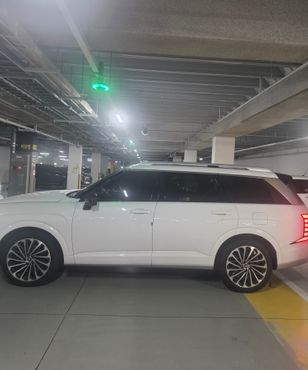 Hyundai Palisade Gasoline 2.5T 4WD 7-Seater Calligraphy — пробег 25 000 км — фото 4 из 5