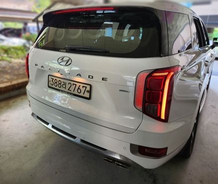 Hyundai Palisade Gasoline 3.8 4WD Calligraphy — пробег 95 000 км — фото 4 из 5