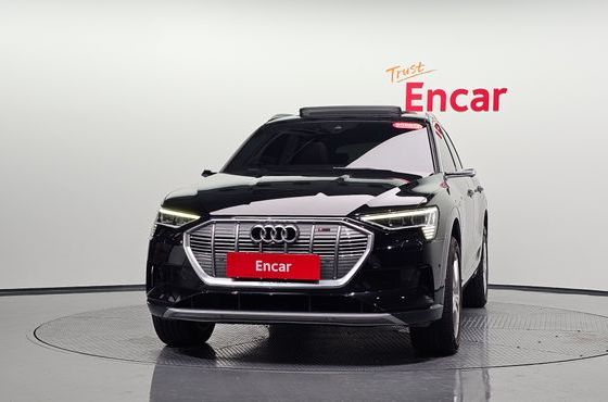 Audi e-tron 50 Quattro — пробег 120 166 км — фото 3 из 5