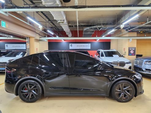 Tesla Model X Plaid — пробег 11 233 км — фото 3 из 5