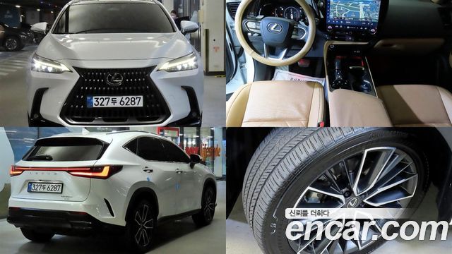 Lexus NX Luxury — пробег 13 239 км — фото 1 из 5
