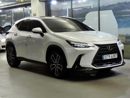 Lexus NX Luxury — пробег 13 239 км — фото 3 из 5