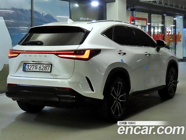 Lexus NX Luxury — пробег 13 239 км — фото 5 из 5
