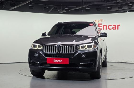 BMW X5 xDrive 30d — пробег 245 105 км — фото 3 из 5